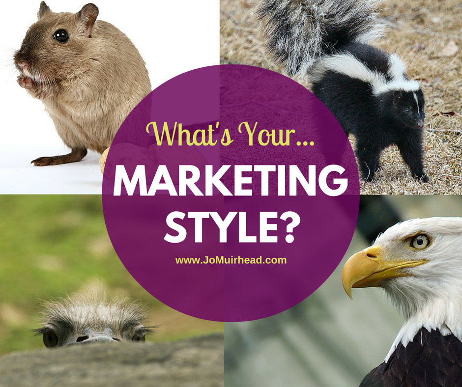 what's your marketing style image V1