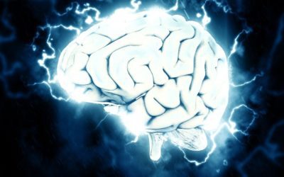 The #1 Neuroscience Hack You Need to Implement Now!