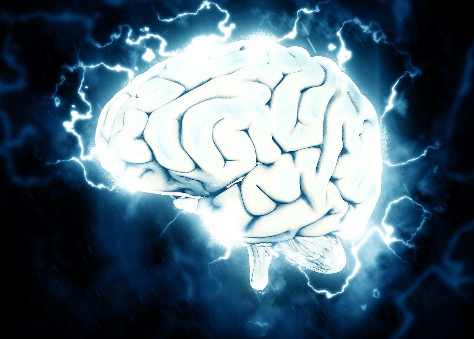 The #1 Neuroscience Hack You Need to Implement Now!
